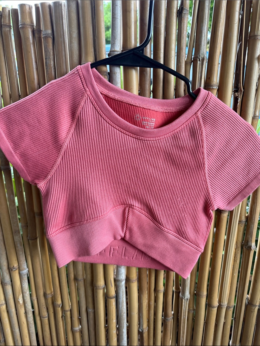 aerie Rose Ribbed Crop Top with Short Sleeves